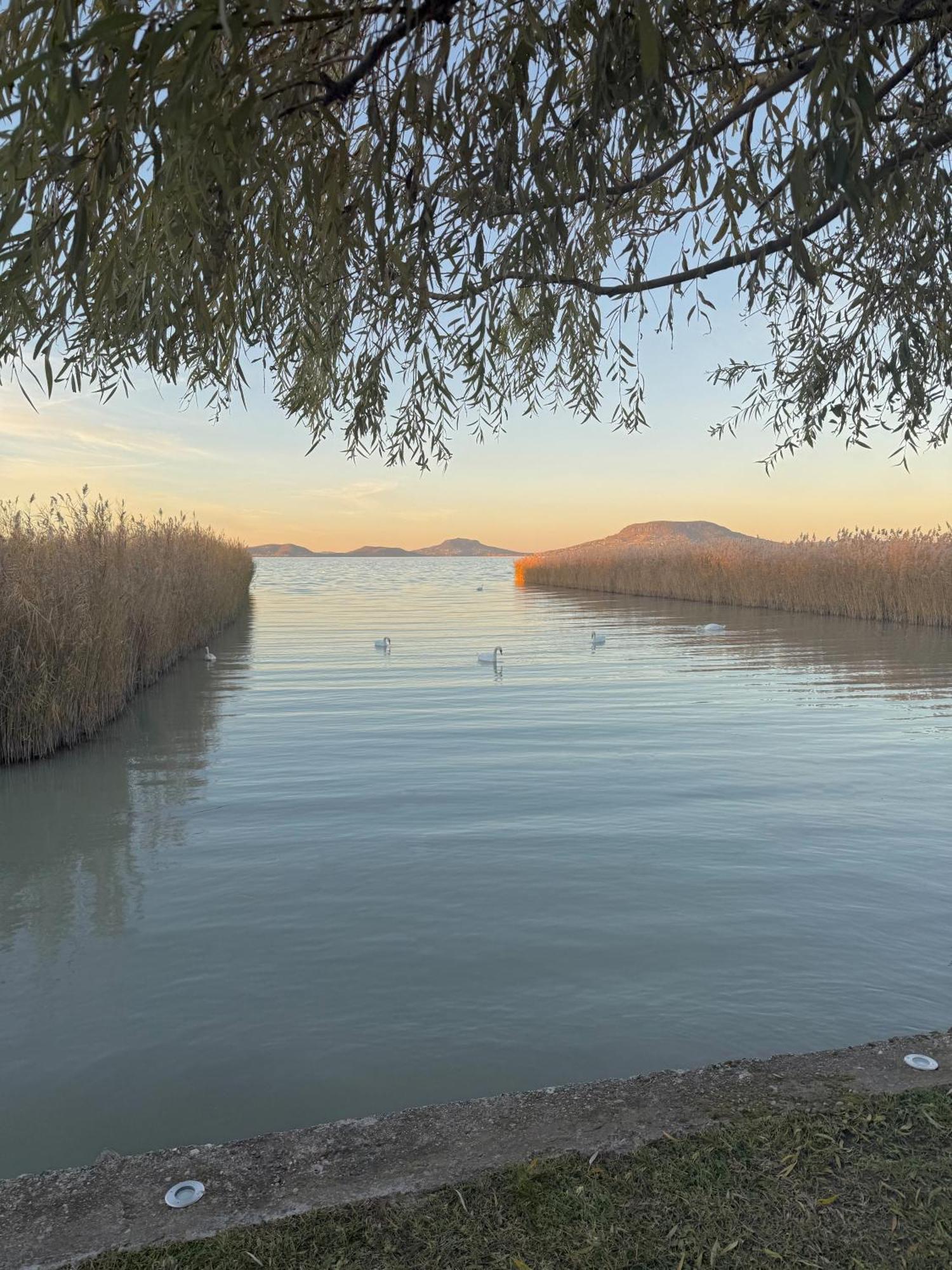 בלטונפנבש Balaton A Kertben - Balaton In The Garden - Beachfront Houses With Beautiful View, Private Beach מראה חיצוני תמונה